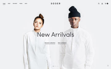 Sober WORDPRESS 外贸网站建设
